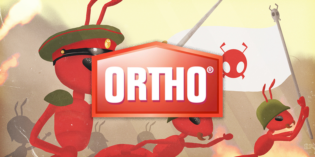 Ortho: How To's