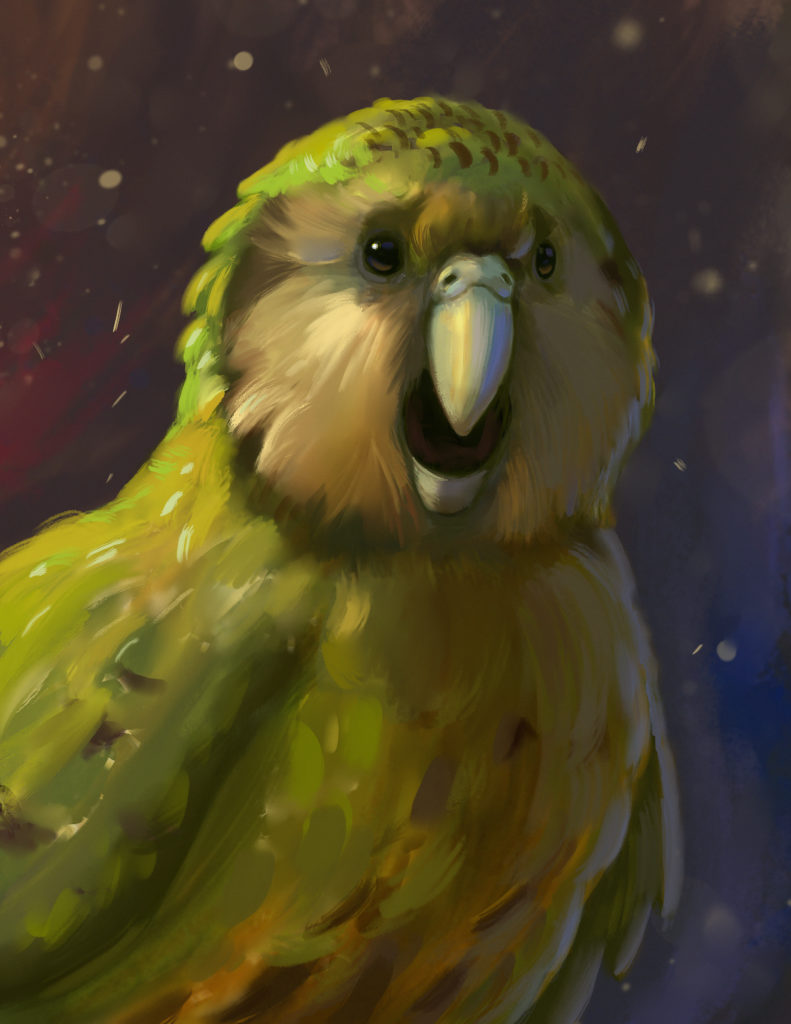 Kakapo-791×1024